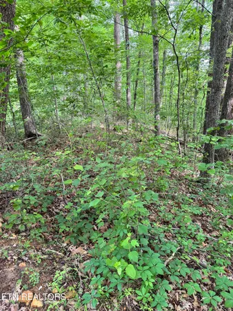 $95,000 | Sunset Lane, Unit 5, Seymour, TN 37865