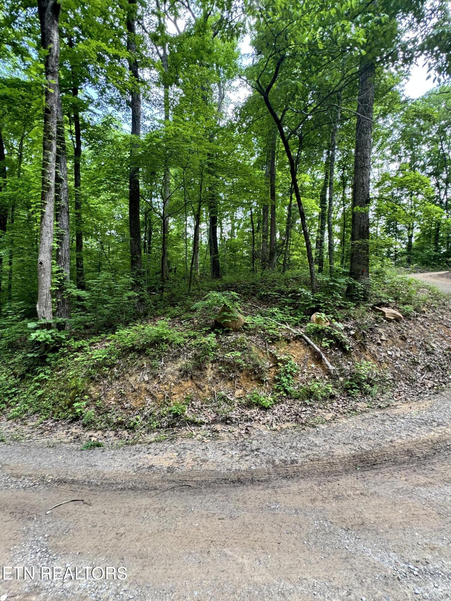 Sunset Lane, Unit 5 Seymour, TN 37865 - Photo 11 of 11 IMG_4908
