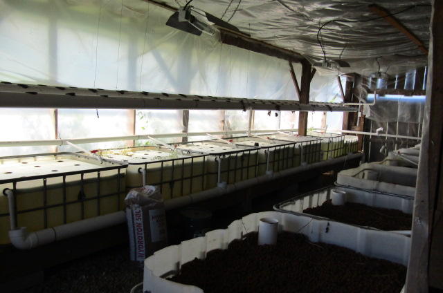 3579 Brewer Road Crossville, TN 38572 - Photo 13 of 40 Aquaponic System