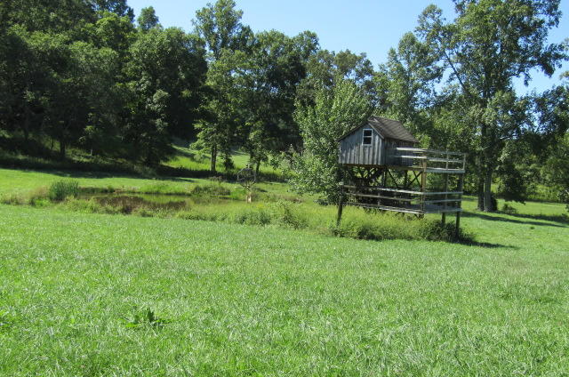 3579 Brewer Road Crossville, TN 38572 - Photo 15 of 40 Meadow
