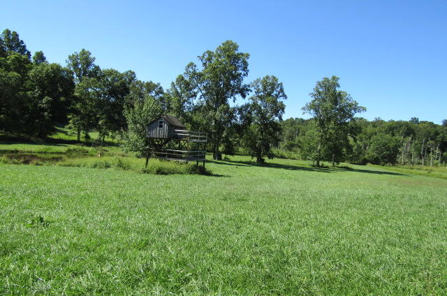 3579 Brewer Road Crossville, TN 38572 - Photo 16 of 40 Meadow