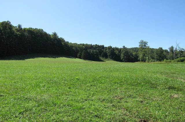 3579 Brewer Road Crossville, TN 38572 - Photo 17 of 40 Meadow