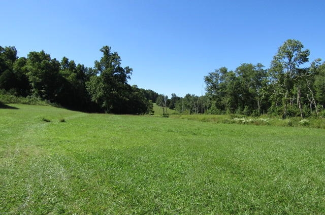 3579 Brewer Road Crossville, TN 38572 - Photo 20 of 40 Back View