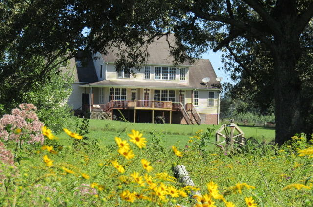 3579 Brewer Road Crossville, TN 38572 - Photo 3 of 40 3579 Brewer Rd Back