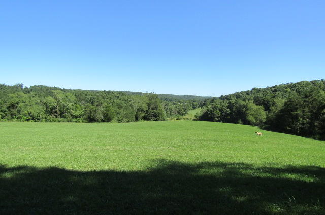 3579 Brewer Road Crossville, TN 38572 - Photo 21 of 40 Mountain View