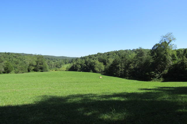 3579 Brewer Road Crossville, TN 38572 - Photo 22 of 40 Mountain View