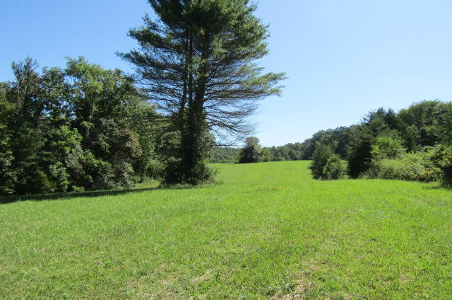 3579 Brewer Road Crossville, TN 38572 - Photo 24 of 40 IMG_3844