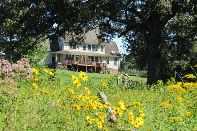 3579 Brewer Road Crossville, TN 38572 - Photo 29 of 40 IMG_3851