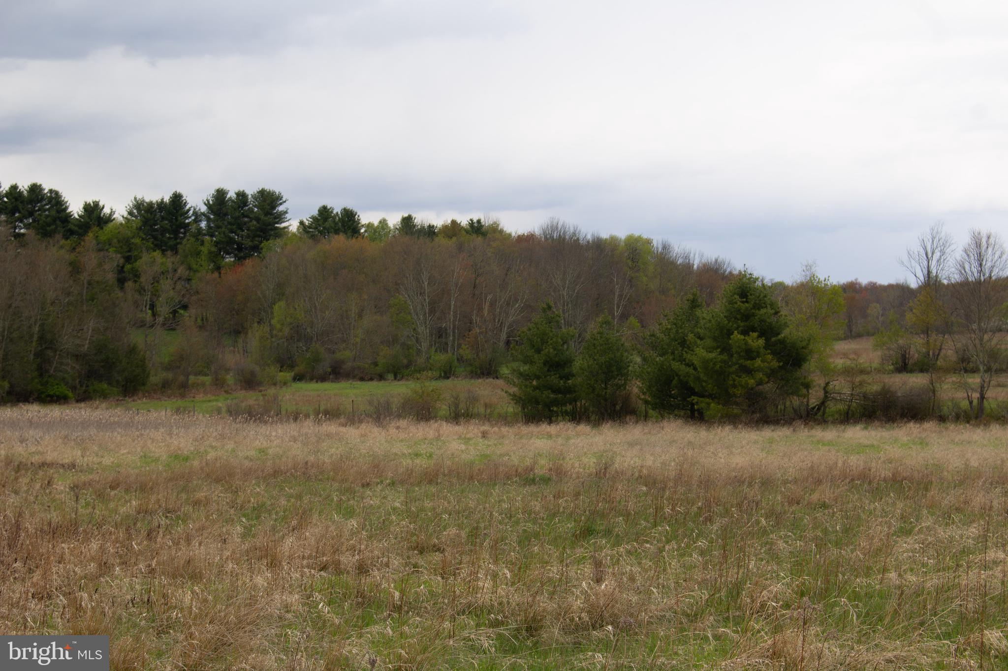 0 Slater Road, Unit LOT 1A Beach Lake, PA 18405 - Photo 15 of 15