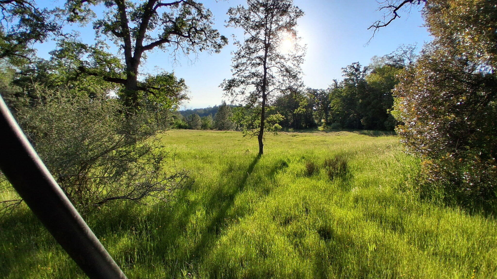 189-acres Shingletown Ridge Road Shingletown, CA 96088 - Photo 7 of 13 3585