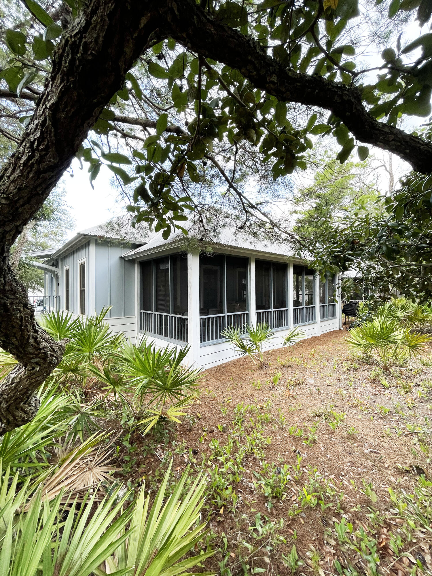 29 Olivia Lane Seacrest, FL 32461 - Photo 4 of 28 a front view of a house with a garden