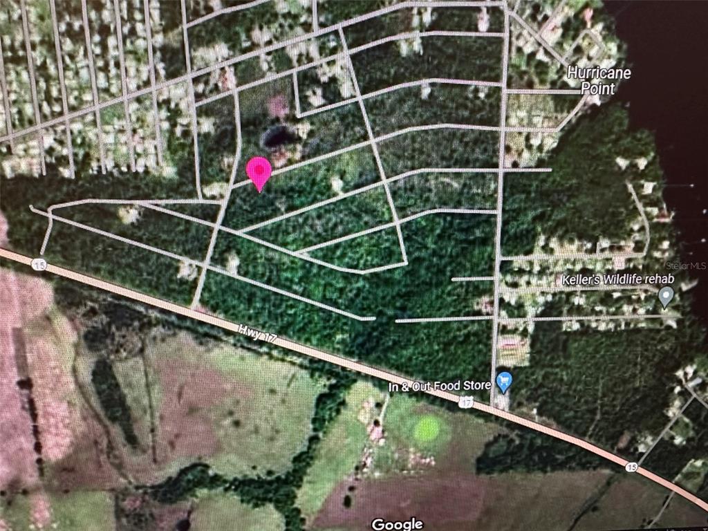 225 Colonial Avenue Crescent City, FL 32112 - Photo 3 of 4