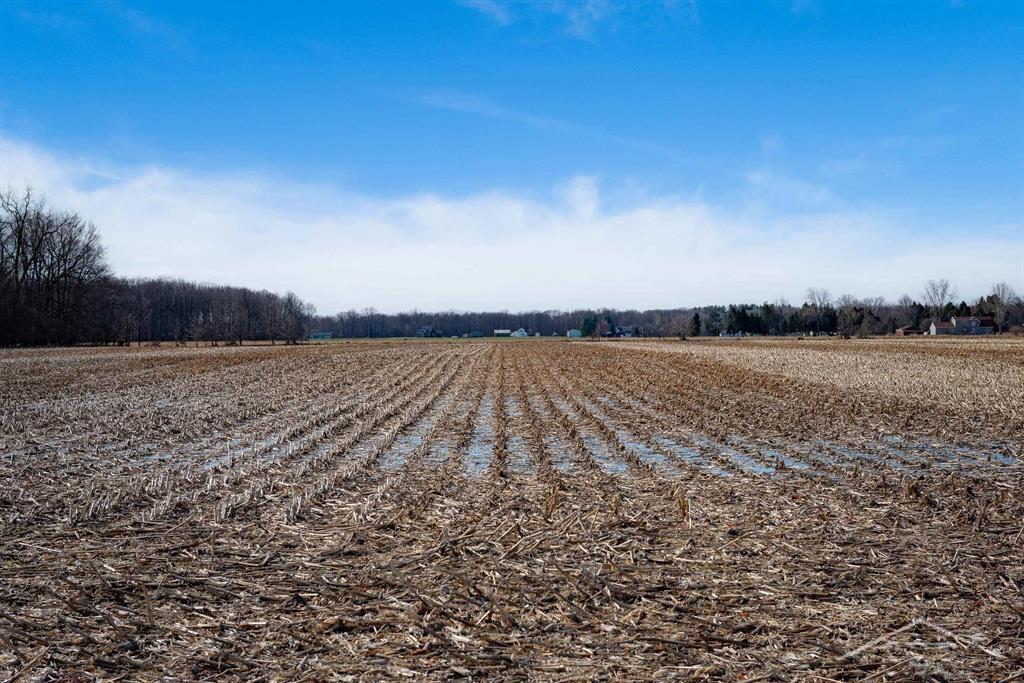 9.9-acres Grabowski Road St. Charles, MI 48655 - Photo 10 of 15 Gallery Image 10