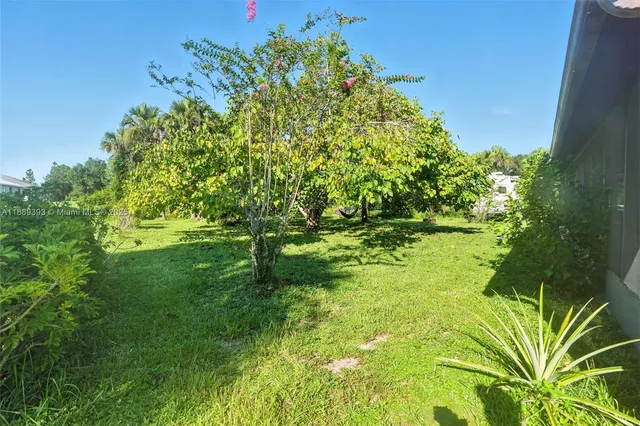 a view of a park with a tree in the background