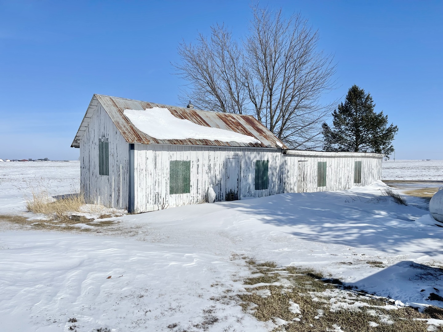 565 North 17th Road Tonica, IL 61370 - Photo 6 of 31 a view of a house with a yard