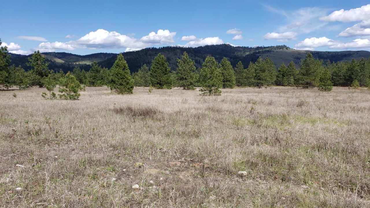 Lot 1 Saddle Ridge Road Kettle Falls, WA 99141 - Photo 1 of 7 Gallery Image 1