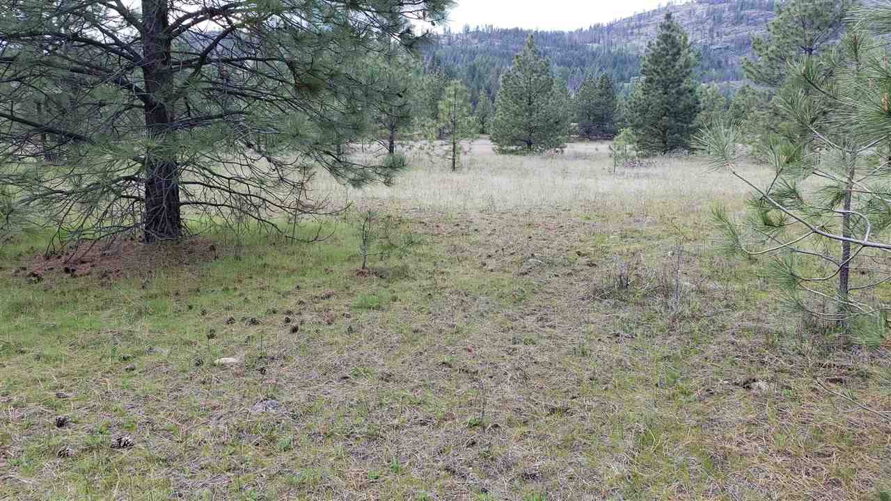 Lot 1 Saddle Ridge Road Kettle Falls, WA 99141 - Photo 2 of 7 Gallery Image 2