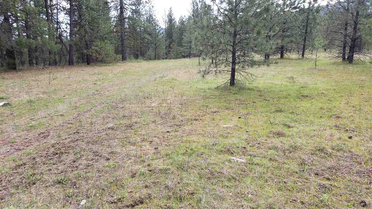 Lot 1 Saddle Ridge Road Kettle Falls, WA 99141 - Photo 3 of 7 Gallery Image 3