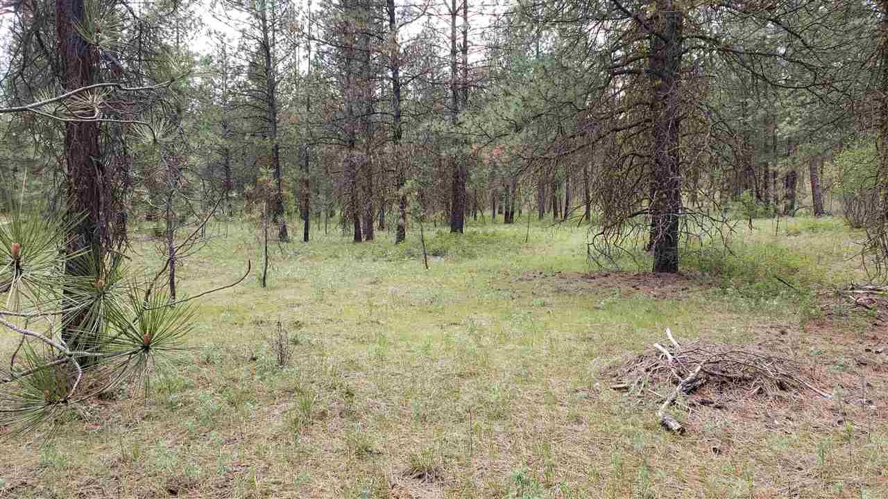 Lot 1 Saddle Ridge Road Kettle Falls, WA 99141 - Photo 4 of 7 Gallery Image 4