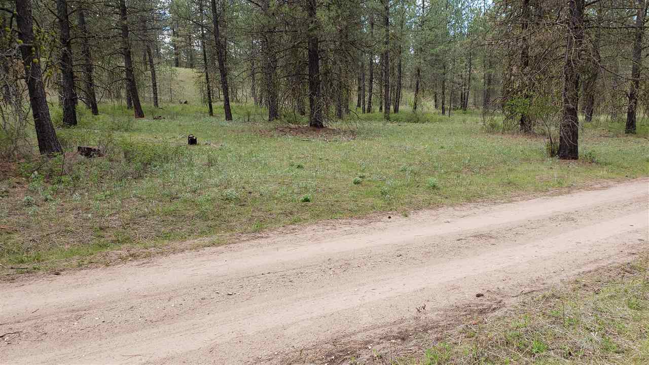 Lot 1 Saddle Ridge Road Kettle Falls, WA 99141 - Photo 6 of 7 Gallery Image 6