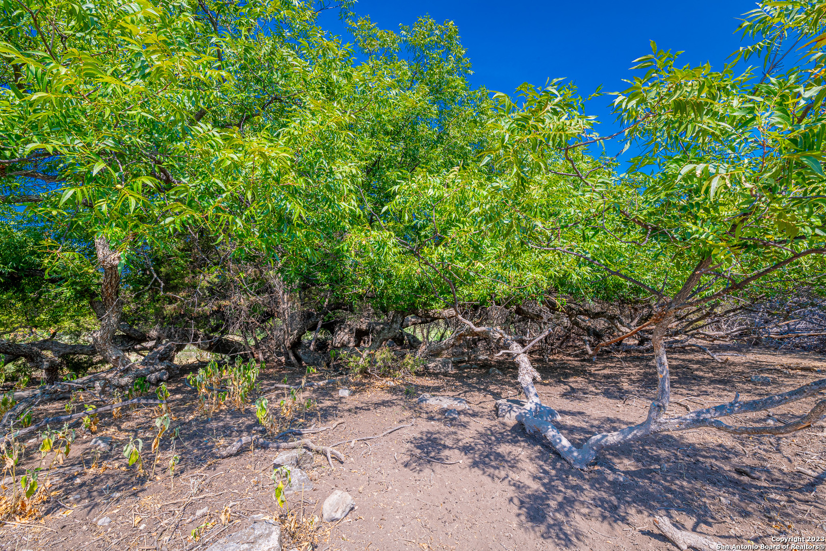 491 Kc 276 Junction, TX 76849 - Photo 14 of 29
