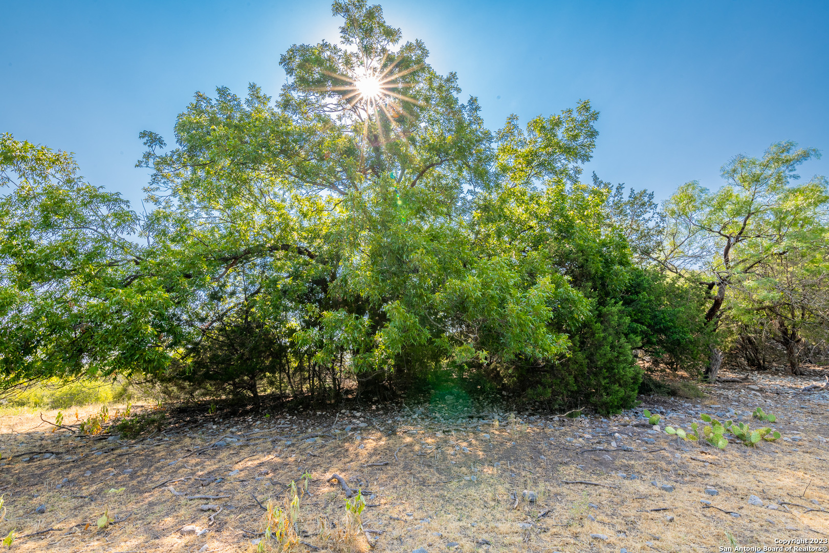 491 Kc 276 Junction, TX 76849 - Photo 23 of 29