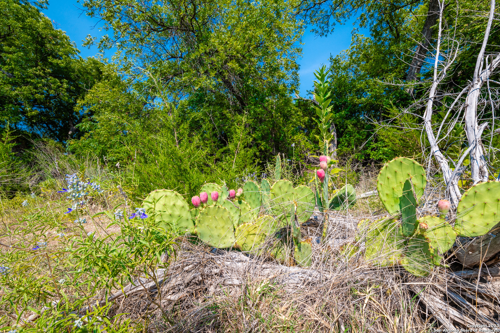 491 Kc 276 Junction, TX 76849 - Photo 24 of 29