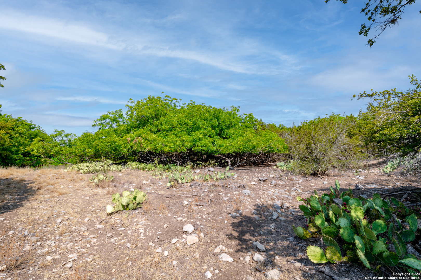 491 Kc 276 Junction, TX 76849 - Photo 8 of 29