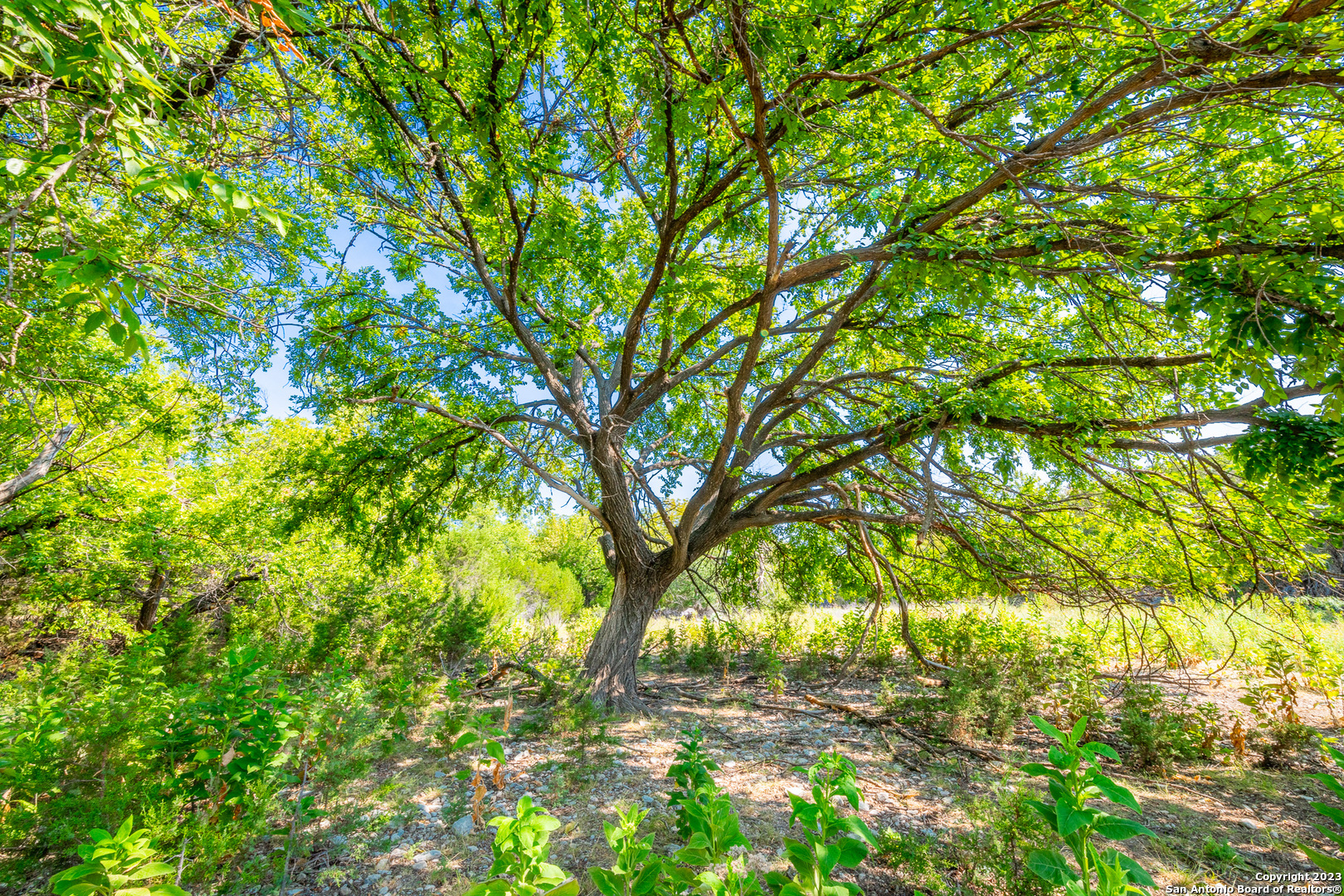 491 Kc 276 Junction, TX 76849 - Photo 10 of 29