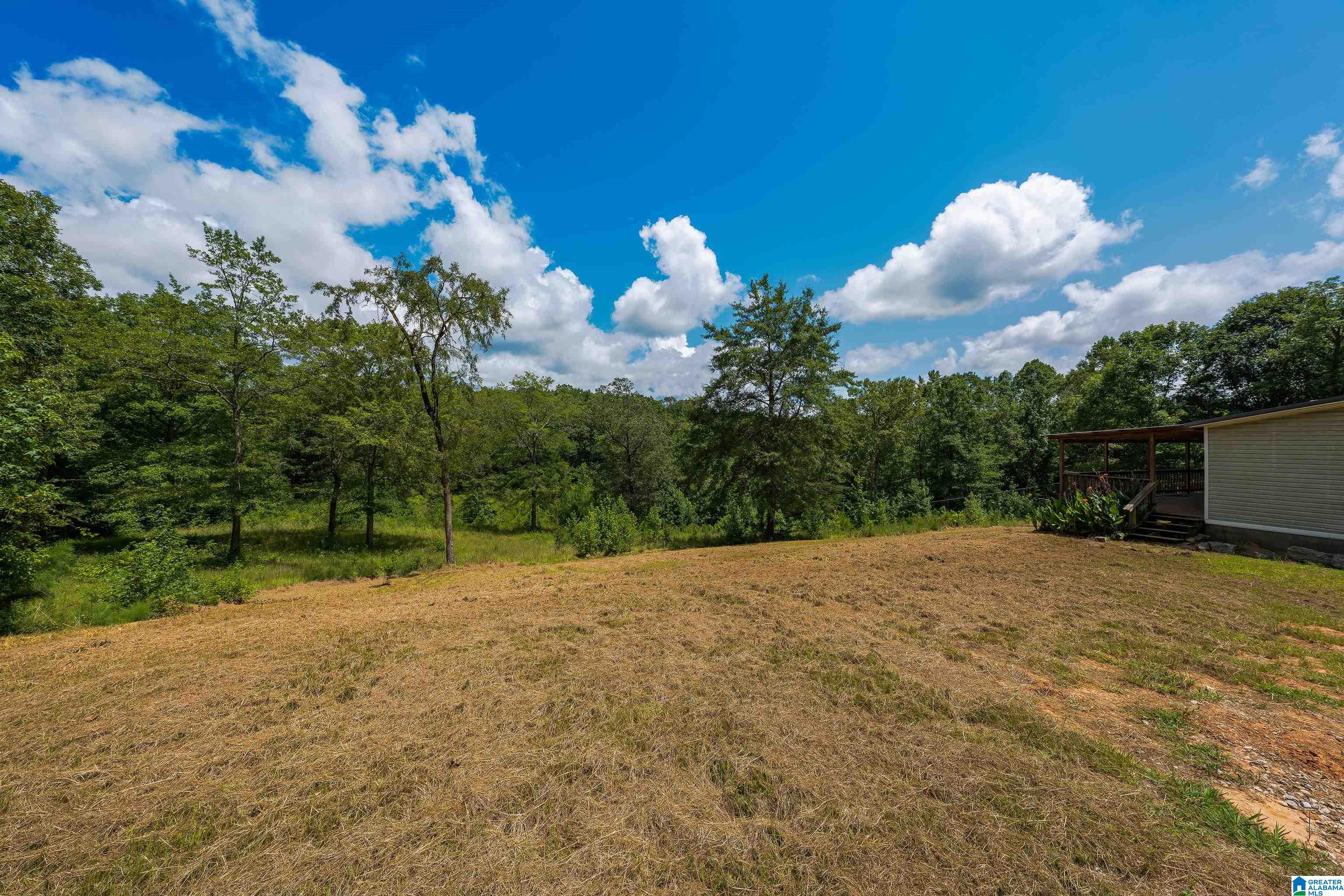 1042 Story Road Woodstock, AL 35188 - Photo 5 of 33