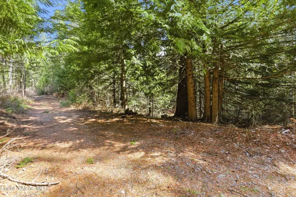 $250,000 | Nka Poverty Lane, Spirit Lake, ID 83869