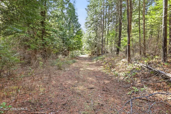 $250,000 | Nka Poverty Lane, Spirit Lake, ID 83869