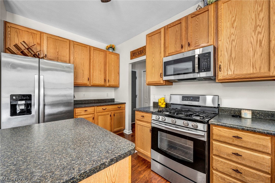 5247 Otten Road North Ridgeville, OH 44039 - Photo 4 of 50 Gallery Image 4