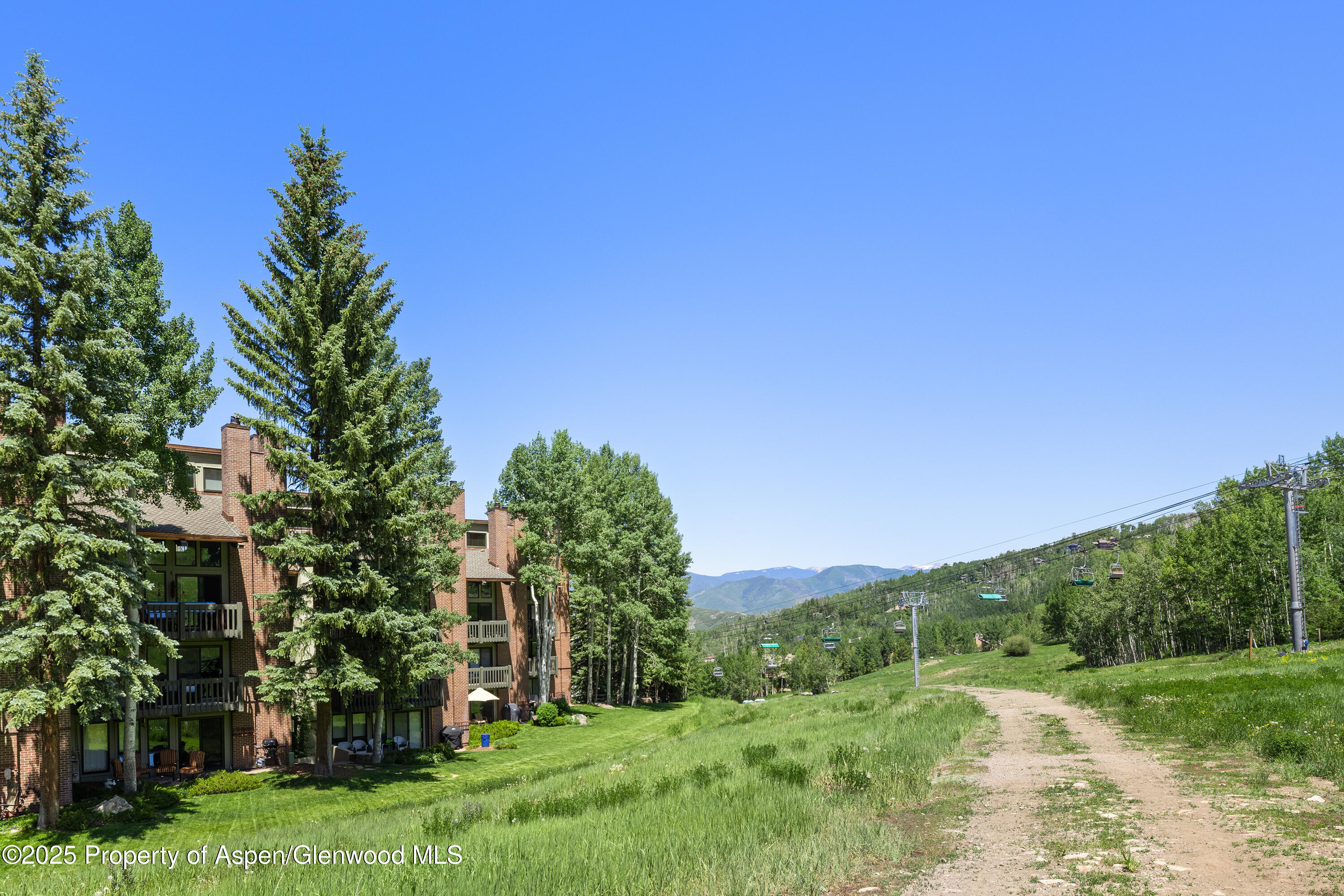70 Gallun Lane, Unit 206B Snowmass Village, CO 81615 - Photo 15 of 15 a view of a grassy field with trees in the background