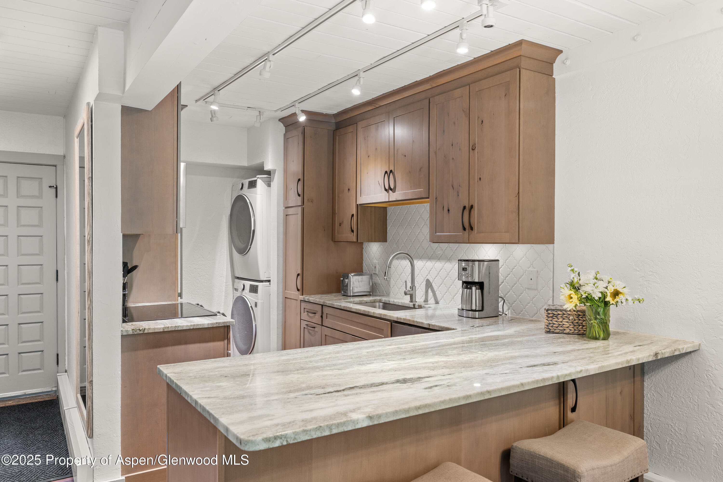 70 Gallun Lane, Unit 206B Snowmass Village, CO 81615 - Photo 6 of 15 a kitchen with refrigerator and countertop