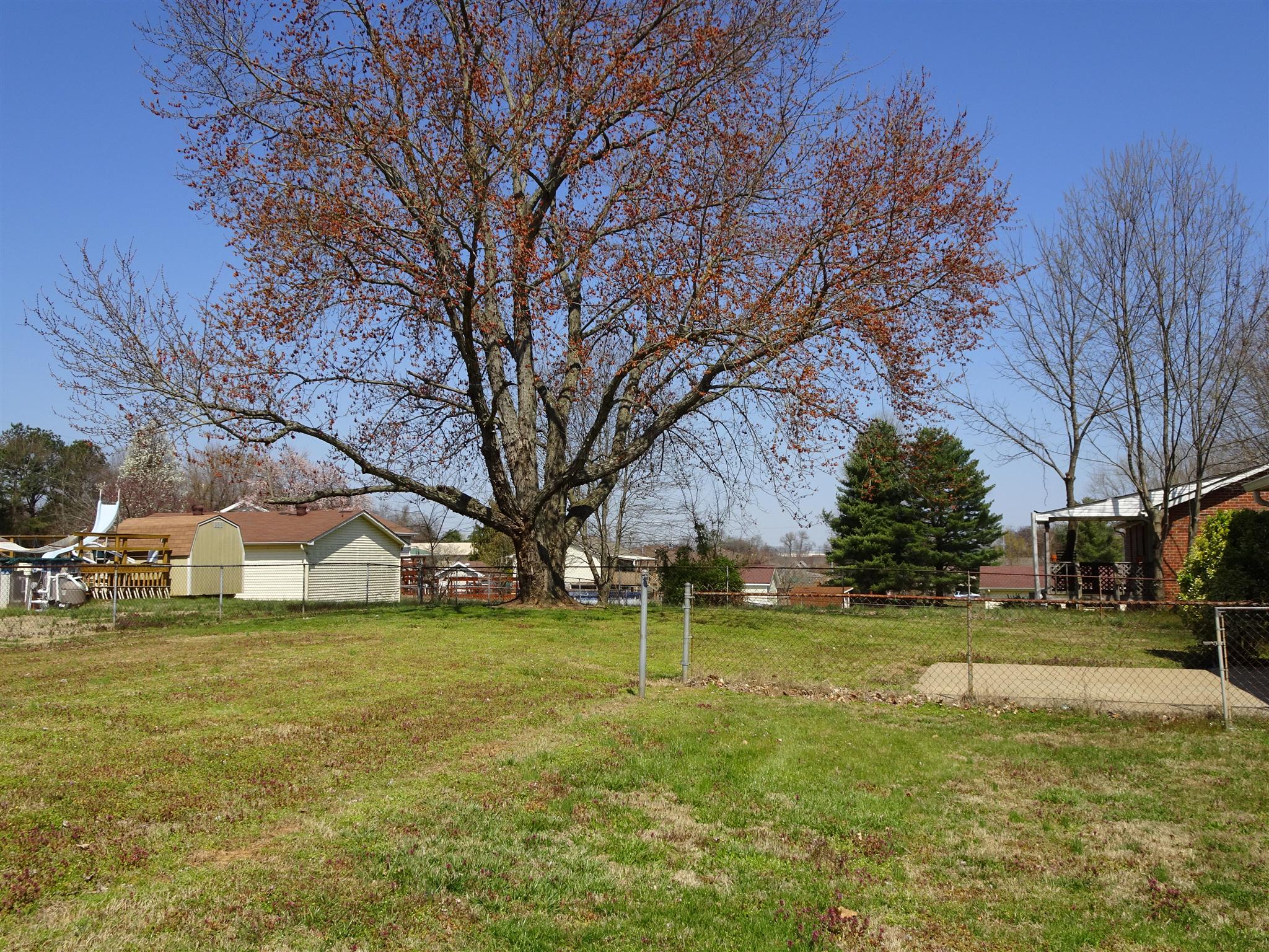 2222 Stokes Road Clarksville, TN 37043 - Photo 13 of 14 LEVEL BACKYARD