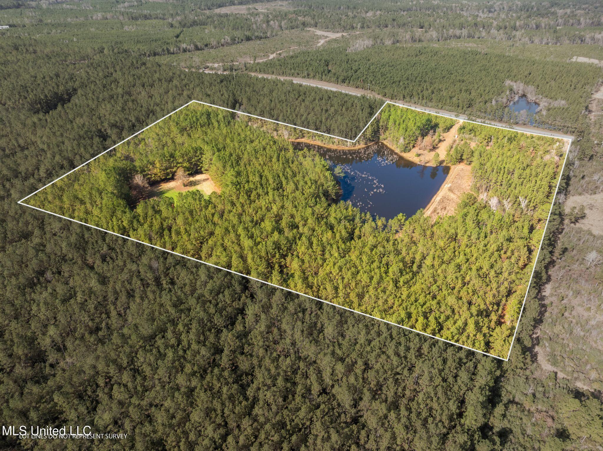 12.41 Lott Town Road Sumrall, MS 39482 - Photo 2 of 10 00_Lott_Town_Rd_Parcel_1-2