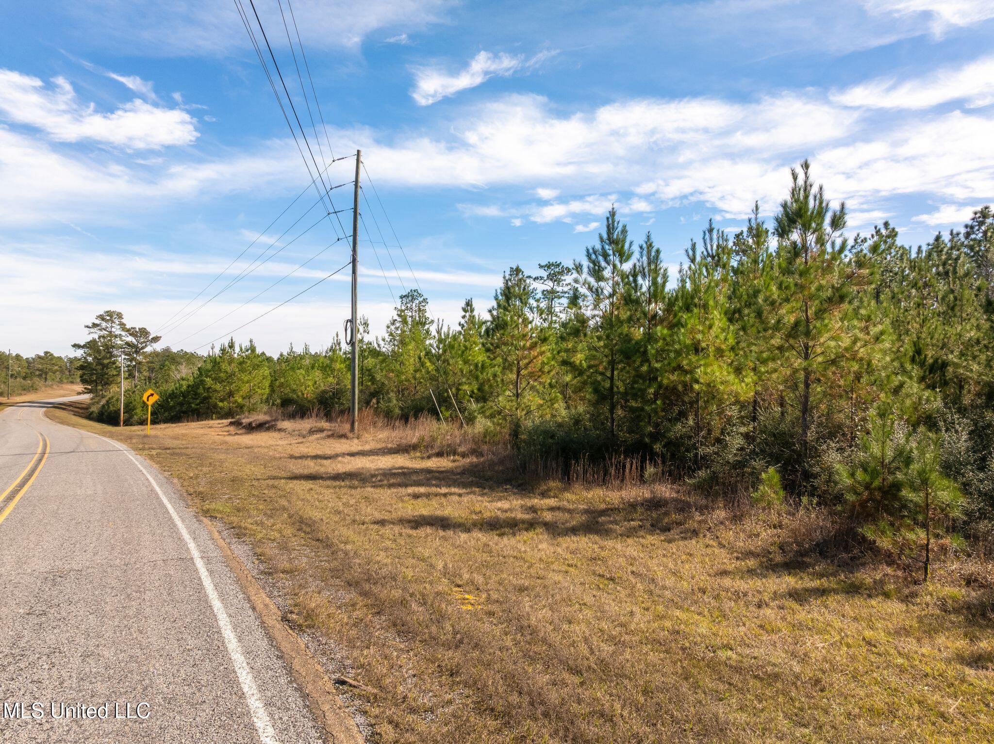 12.41 Lott Town Road Sumrall, MS 39482 - Photo 3 of 10 00_Lott_Town_Rd_Parcel_1-3