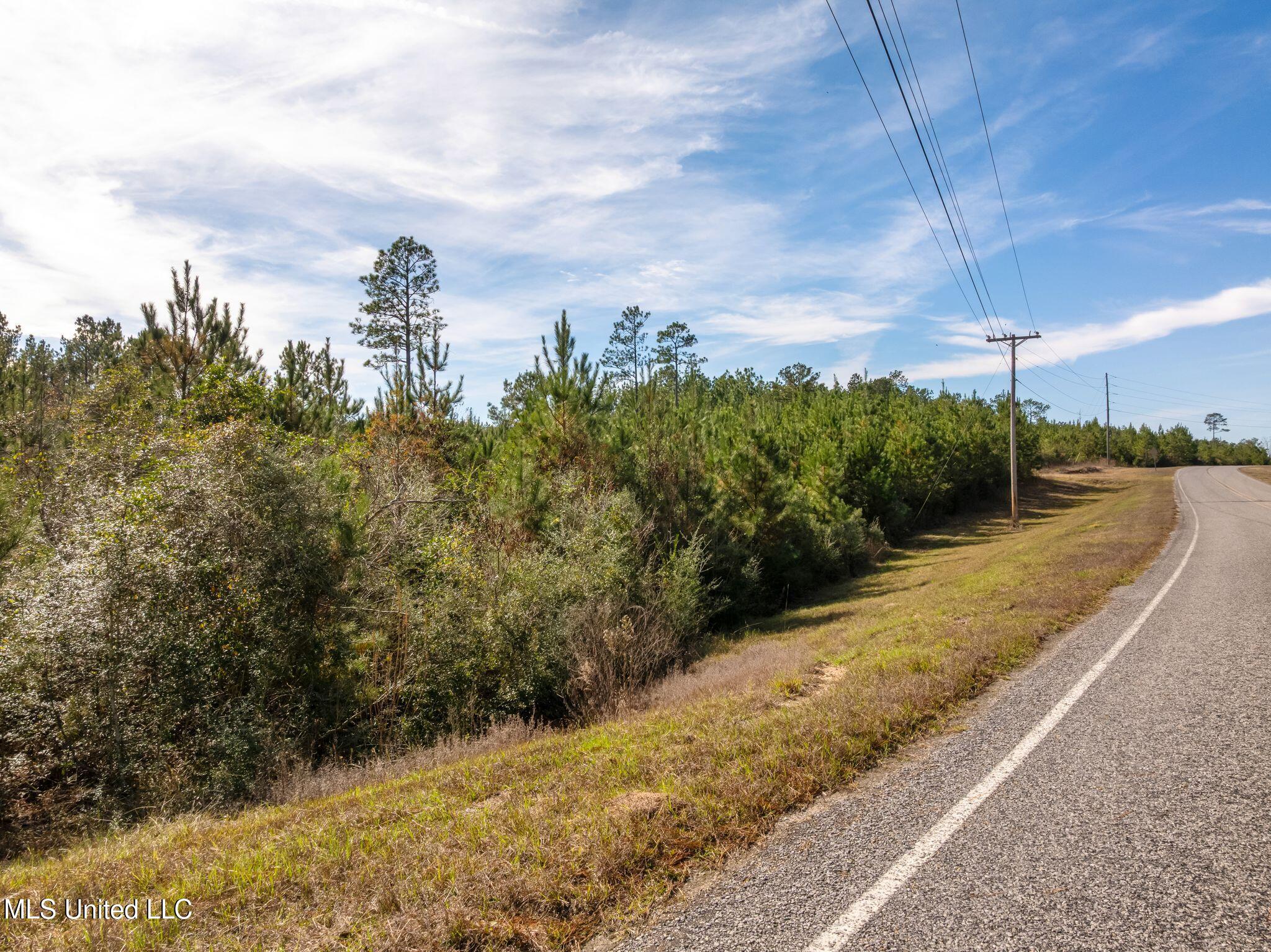 12.41 Lott Town Road Sumrall, MS 39482 - Photo 4 of 10 00_Lott_Town_Rd_Parcel_1-4