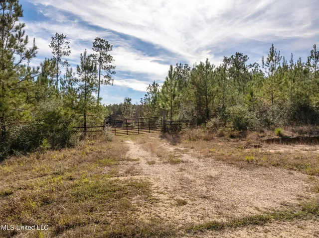 $149,500 | 12.41 Lott Town Road, Sumrall, MS 39482