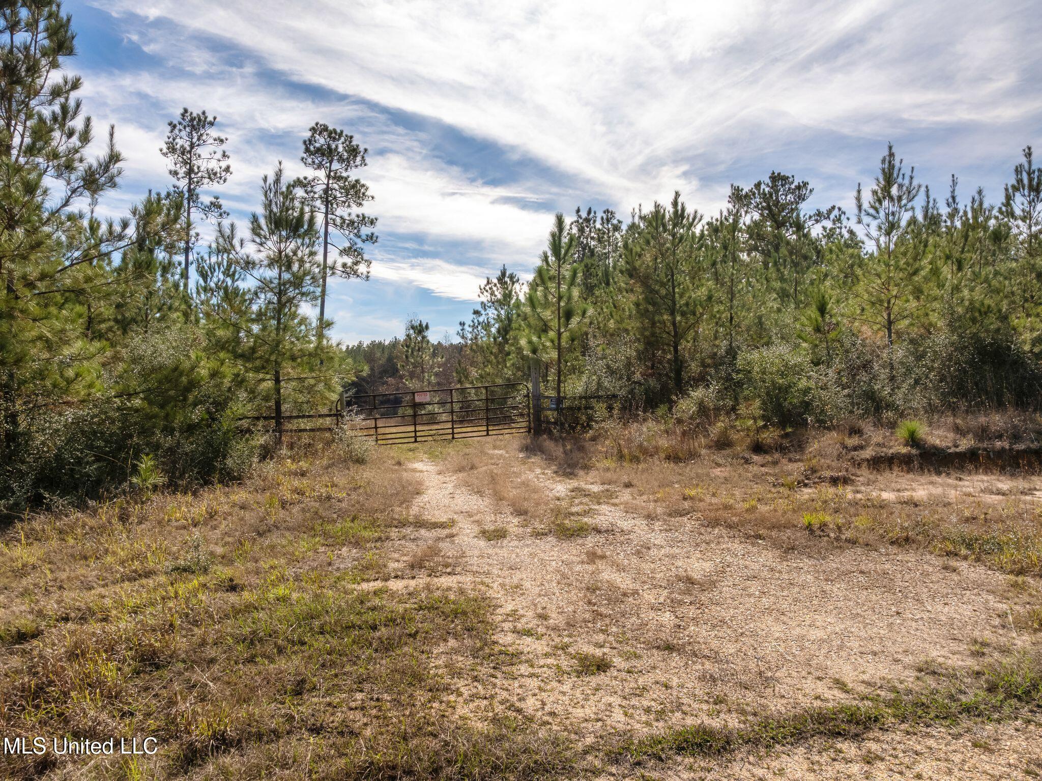 12.41 Lott Town Road Sumrall, MS 39482 - Photo 5 of 10 00_Lott_Town_Rd_Parcel_1-5