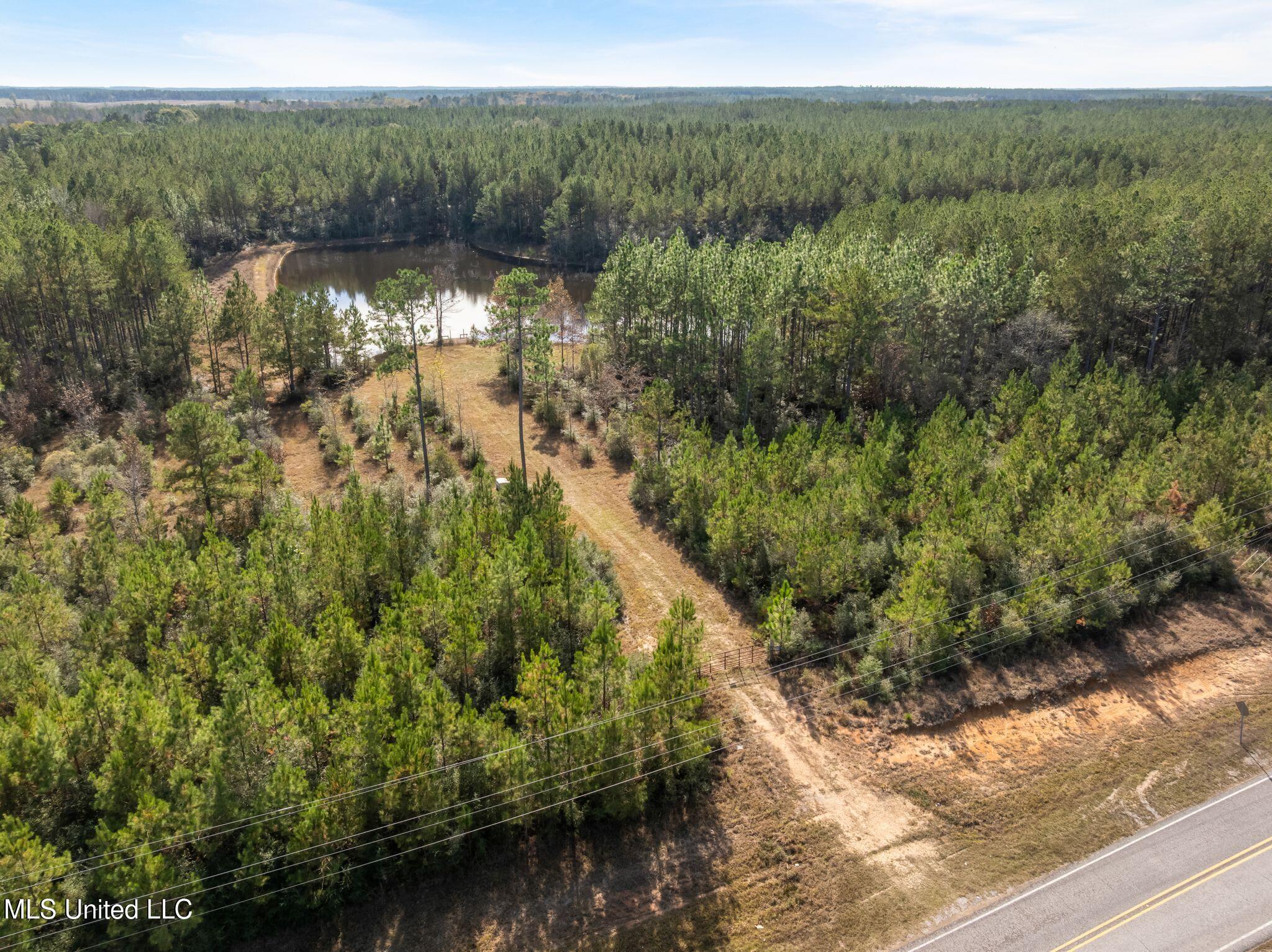 12.41 Lott Town Road Sumrall, MS 39482 - Photo 6 of 10 00_Lott_Town_Rd_Parcel_1-6