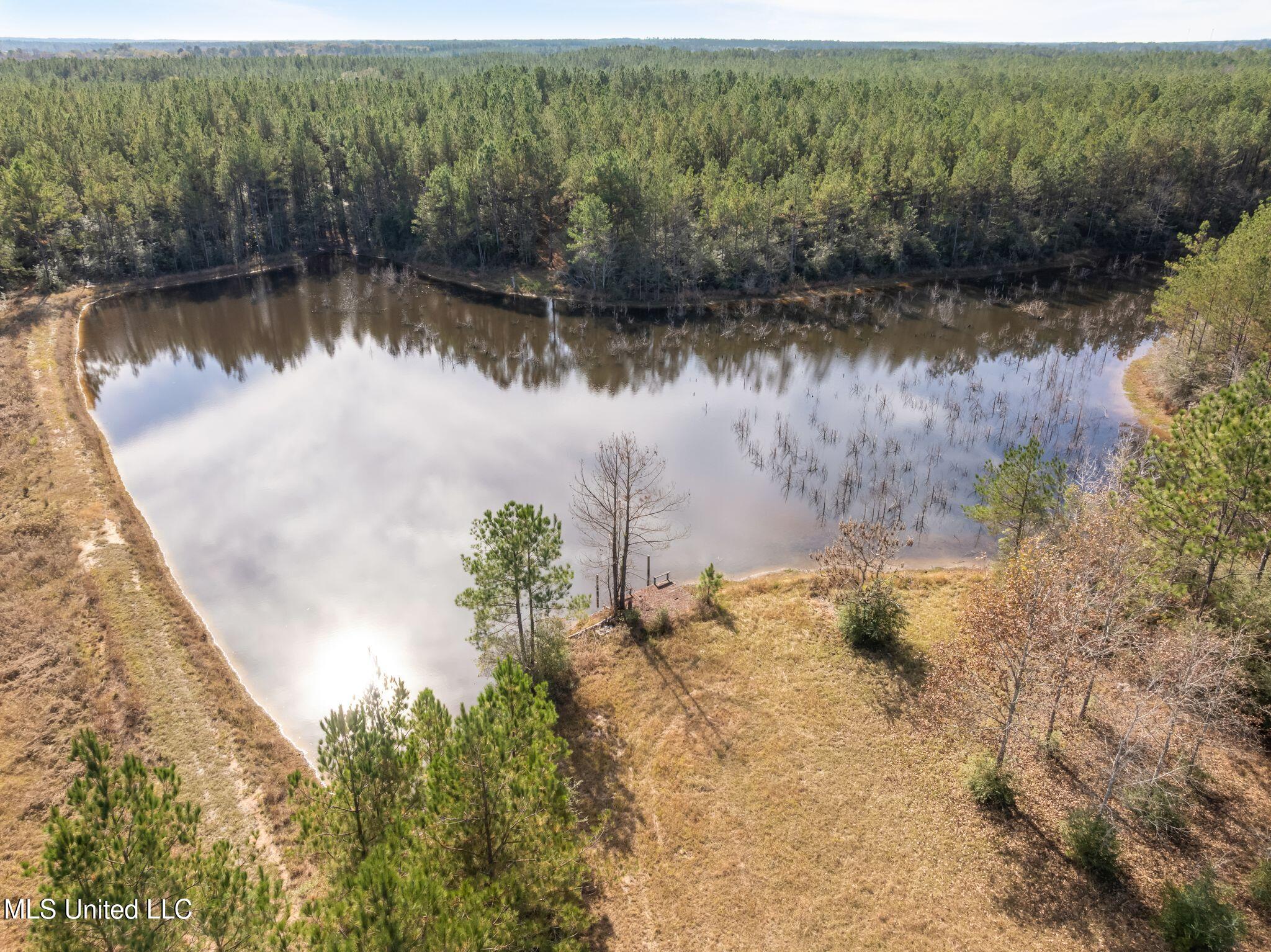 12.41 Lott Town Road Sumrall, MS 39482 - Photo 7 of 10 00_Lott_Town_Rd_Parcel_1-7