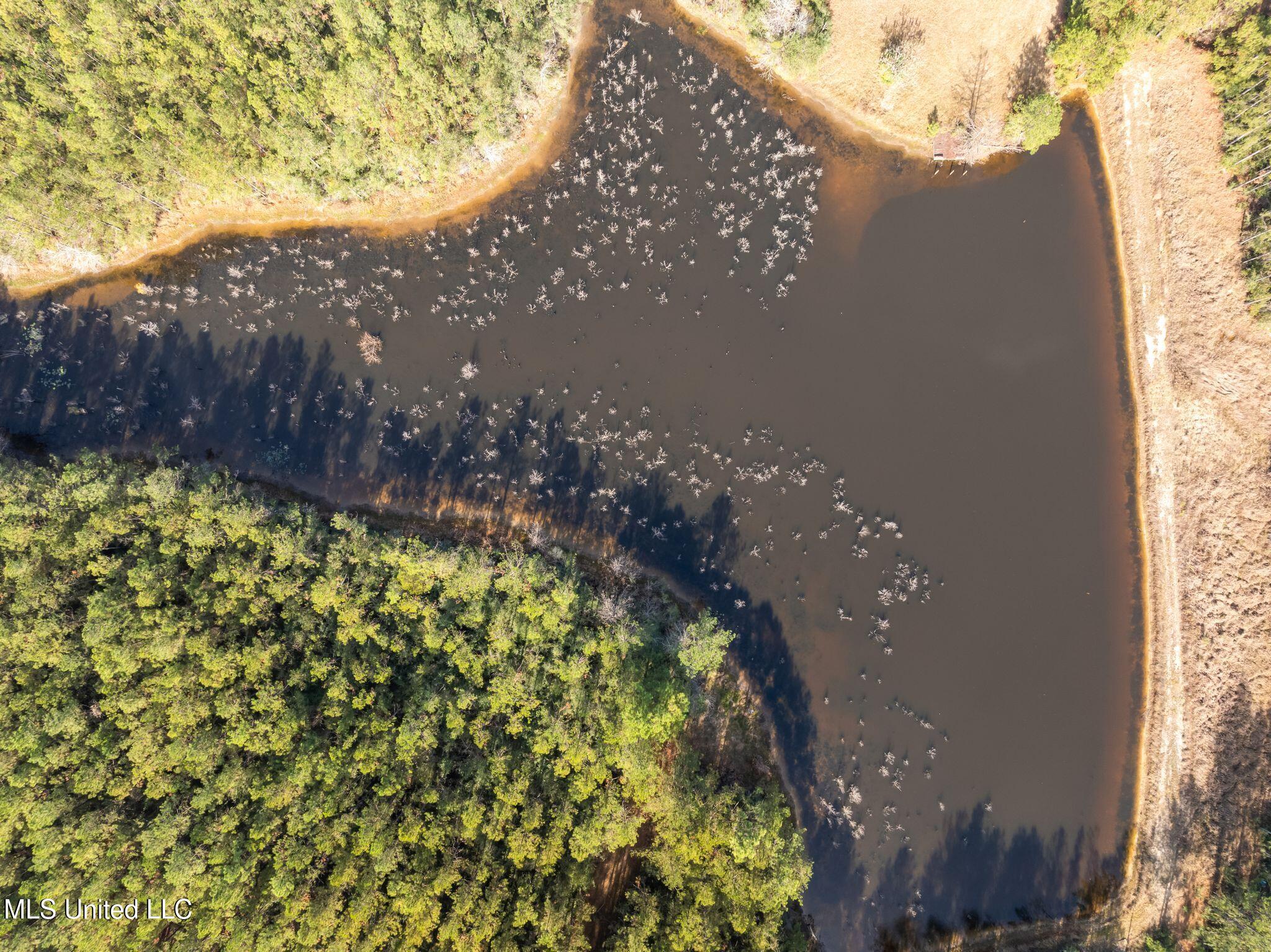 12.41 Lott Town Road Sumrall, MS 39482 - Photo 9 of 10 00_Lott_Town_Rd_Parcel_1-9