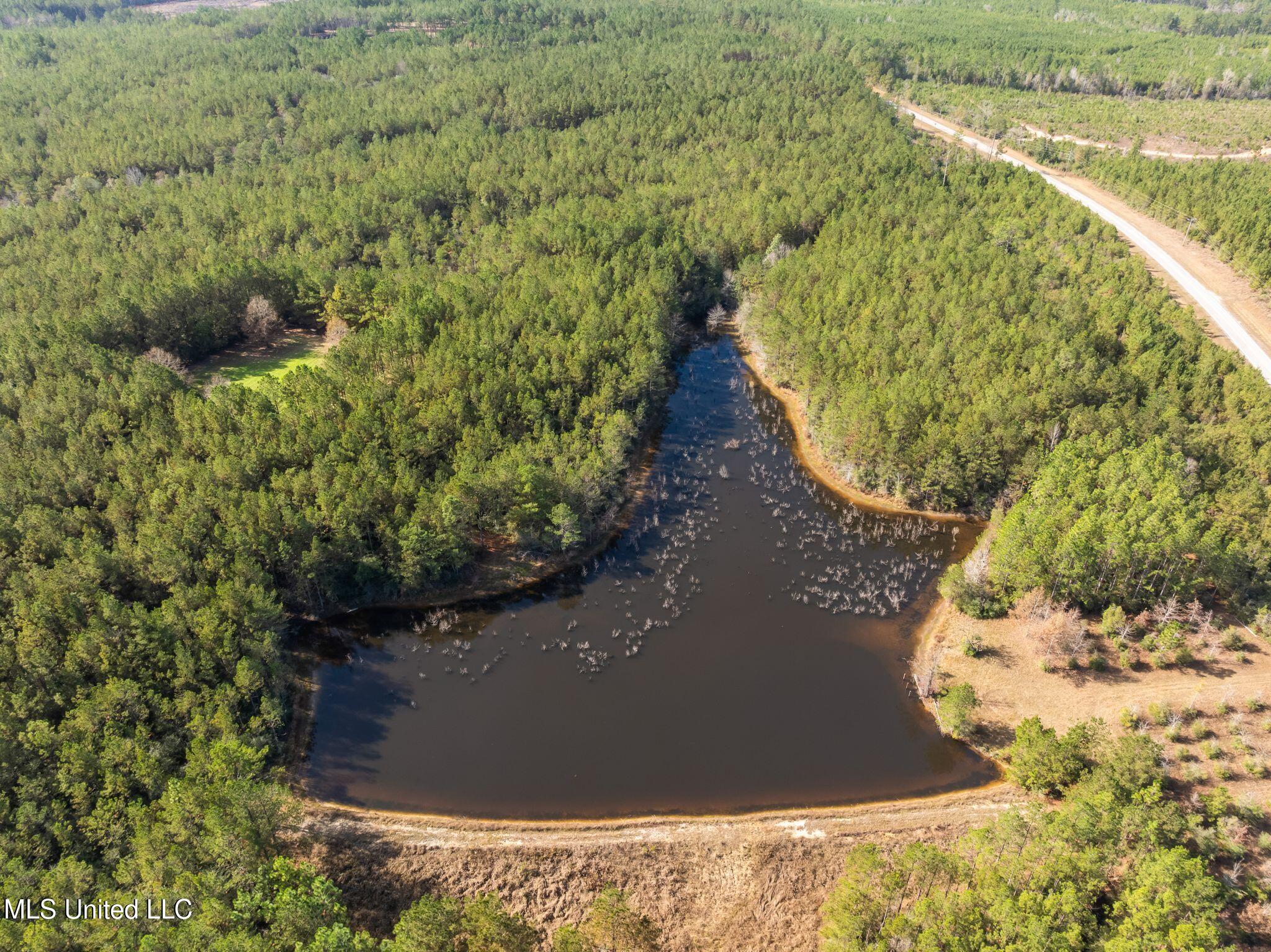 12.41 Lott Town Road Sumrall, MS 39482 - Photo 10 of 10 00_Lott_Town_Rd_Parcel_1-10