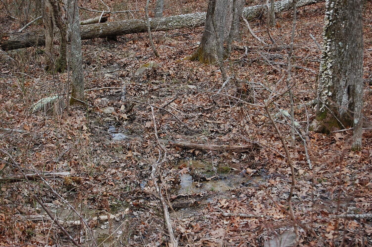 13 Green Forest Road Dunlap, TN 37327 - Photo 19 of 35 Gallery Image 19