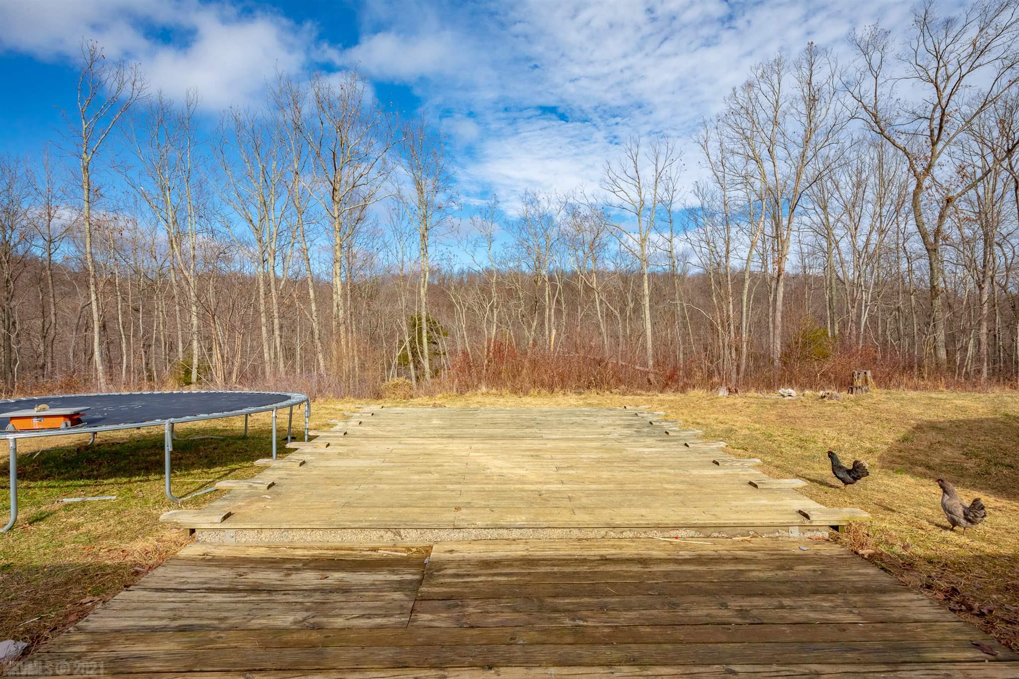 294 Perdue Road Staffordsville, VA 24167 - Photo 60 of 81 Gallery Image 60