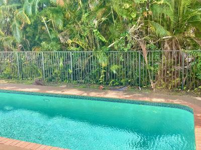 2598 Northwest 47th Street Boca Raton, FL 33434 - Photo 20 of 23 moore pool