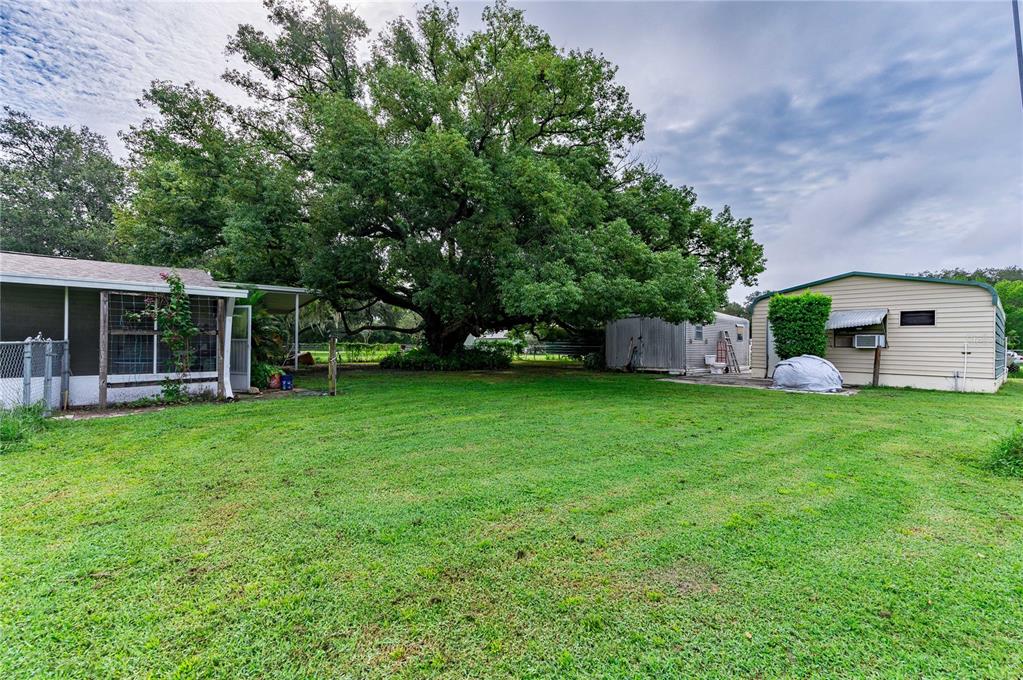 33546 Chancey Road Wesley Chapel, FL 33543 - Photo 40 of 43 Gallery Image 40