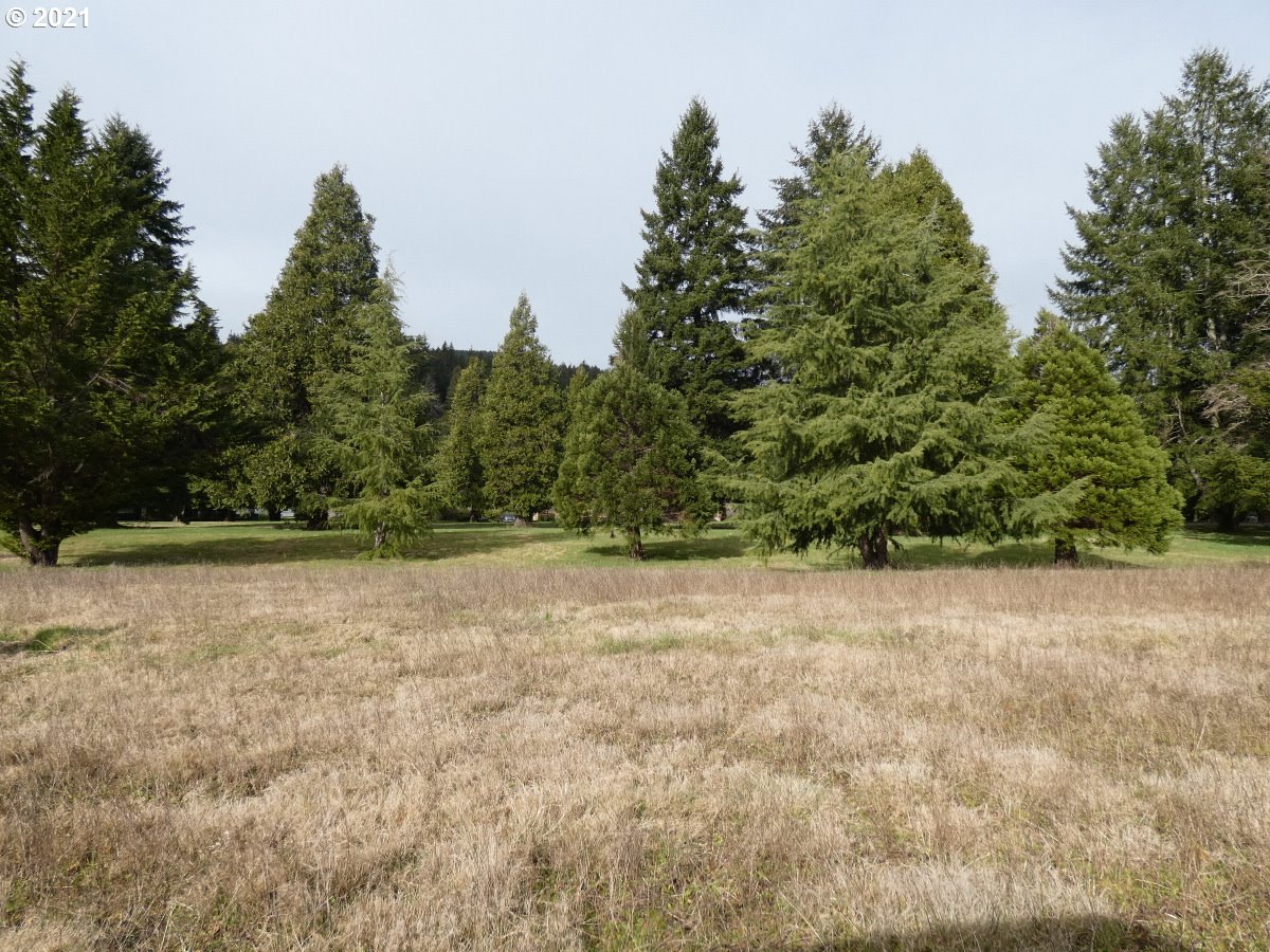 Omlid Drive, Unit 15 Springfield, OR 97478 - Photo 6 of 12 Gallery Image 6